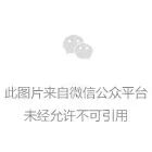 微信图片_20240921141625